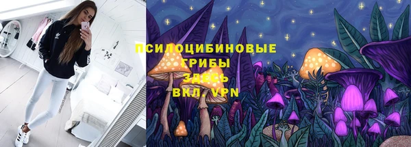 эйфоретик Нефтегорск