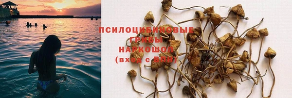 эйфоретик Нефтегорск