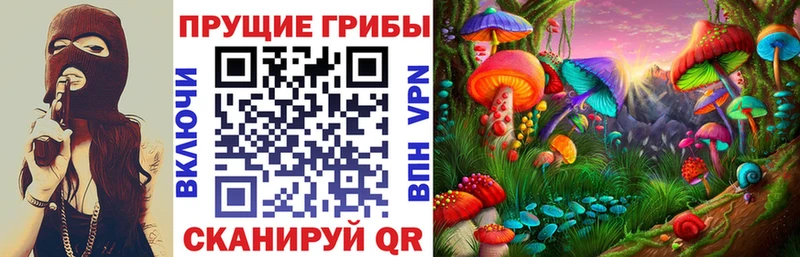 Галлюциногенные грибы ЛСД  Купить где  Петухово 